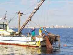 船橋漁港から先に漁場に出ていた底引き網漁船を発見