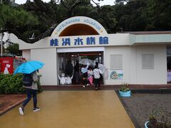 桂浜に到着！！
雨がっつり・・
水族館を覗きますよ・・