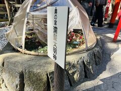 奥の宮巡り