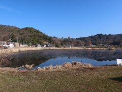 名前がおどろおどろしい深泥池。心霊スポットでもあるそうですが、意外と市街地に近い所にあり、自然が豊富です