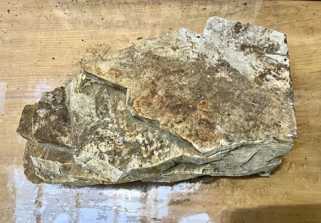 駅舎内に置かれていた石。<br />この石は、常陸太田市から日立市にかけての山地で発見された日本最古の「カンブリア紀地層」の石です。約5億年前の長石質片岩。