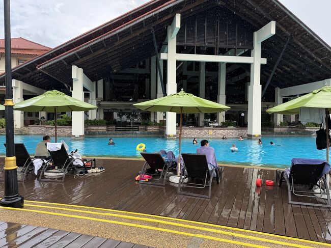 ついに予報通り雨が降ってきました。<br /><br />パラソルのおかげで娘の昼寝は大丈夫なんだけど荷物もあるし濡れないように配置を変えたりしていました。<br /><br />そんな中でも息子はプール…