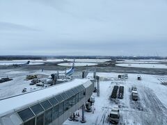 使用機到着遅れの後、雪で滑走路閉鎖のため予約していた便が欠航し翌日へ振替