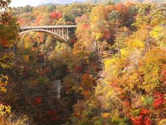 レストハウス前の展望台から「大深沢橋」と紅葉