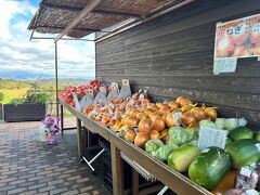 それから恒例のあわじ花さじき。
駐車料金200円で楽しめる広大なお花畑は、私たちのお気に入りです。

そうそう、ちなみに道の駅で購入した「ちりたま」は大きくて甘くて美味しかったです。新しめの品種だと思うんですけど、オススメ。