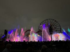 ディズニーリゾート４日目、大晦日
カリフォルニアンアドベンチャーで、ワールドオブカラーを観覧席で、食事をしながら鑑賞（大晦日の記念に、ちょっと贅沢して）