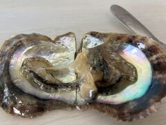 　中はこんな感じ。真珠がどこに隠れてあるのか、つついて探します。