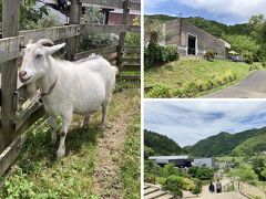 大江ノ郷自然牧場 ココガーデン