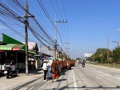 【チェンライ、街探索とお食事編】

郊外を走っていると、何だか汚らしい集団に遭遇...