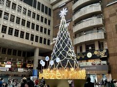 迪化街方面に行くのにバスに乗りましたが、前回同様乗り継ぎ失敗(泣)
また、台北駅を横断しますが、ツリーが飾ってありました。