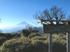 朝より幻想的な姿の霊峰

この時刻で富士山を拝めるというのも、この時期ならでは