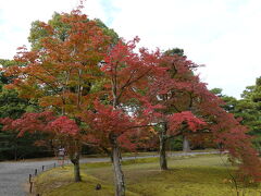 一夜明け
来たのは桂離宮