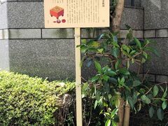 本因坊屋敷跡の説明板　★赤穂義士関連の名所・旧跡
ここに「本因坊家」の屋敷があった場所です。囲碁の名門の「本因坊家」の開祖は、「日海」(一世本因坊算砂）で、「織田信長」、「豊臣秀吉」、「徳川家康」の三人に仕えました。そして、「本因坊家」は、「道策」、「丈和」、「秀和」、「秀策」など数々の名棋手を輩出してきました。もともとその拝領地は芝金杉にありましたが、幕府に接収されたためその代地として寛文7年(1667年)この場所が屋敷となりました。江戸時代には、「本因坊家」、「安井家」、「井上家」、「林家」の「囲碁四家元」がありましたが、「本因坊家」は、筆頭の地位にあったそうです。現在は、実力制で争われるタイトルの1つとしてその名が残っています。「本因坊家」の墓は、3世の「道悦」までは京都の「寂光寺」に葬られていますが、四世の「道策」から21世の「秀哉」まで歴代本因坊は「本妙寺」に葬られています。「本妙寺」は、豊島区巣鴨にあるので、一度訪れてみたいと思います。