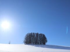 次にマイルドセブンの丘まで車を走らせます。天気の良い日にできるだけ多くの場所を廻ろうとするので忙しいです。ここでもう２時間程待つと、カラマツ林の中に丸い太陽が沈み、この正面に長い影が出来てとてもきれいな景色になるんですよ。でも、今回はもっと多くの場所を散策しなければと思い、わずかの時間の撮影です。それにしても、この太陽の位置は夏ならば夕方ですよね。実際の時刻はお昼前ですよ。冬至は過ぎているとはいえ、日は短いですね。