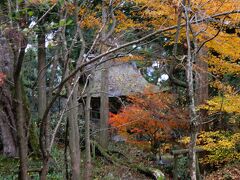 成相寺
橋立真言宗の寺院。山号は成相山。本尊は聖観世音菩薩。西国三十三所第28番札所。境内から日本三景のひとつ天橋立が一望できる。