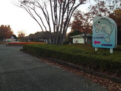 帰りに椎の木湖の北西側にある県立羽生水郷公園へ。
夕刻の公園を吹き抜ける秋の風は、今回の釣果並に「さぶ～い」のでした。
公園の向いにあるキヤッセ羽生でメダカを買って帰路につきました。
丈夫な観賞用の高級メダカを安く買うことができますよ。
