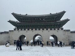 雪景色の景福宮見ることに
もはや地面にも積もってる