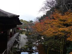京都と違って
歴史ある素晴らしい庭園なのに
拝観してるのは３組ほど。