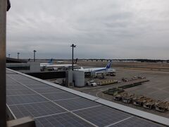 成田空港 第1ターミナル 展望デッキ