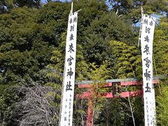 ●來宮神社

しばらく道なりに進んでいくと、古くより地主の神として鎮座する「來宮（きのみや）神社」の鳥居が見えてきました。
周囲は思ってた以上に参拝客（含む外国人）でごった返していて、これもインバウンド効果でしょうか。。。