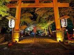 すぐそばの、日吉大社もライトアップされているというので来てみた。

はい、こちらもいいね♪
