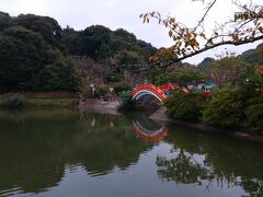 資料館の背後にあるのは、垣生公園。
池が印象的です。