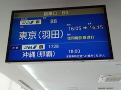 飛行機での移動