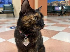 朝6時30分入港、
船を降りたらお出迎え