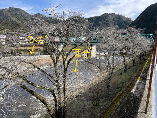 筋骨めぐり　馬瀬川と飛騨川の合流地点<br /><br />奥の橋は金山橋