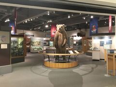 オーロラ鑑賞ツアーまで時間があったので暇つぶしに民族博物館にいきました。

Museum of the North(アラスカ大学 北方博物館)
1962 Yukon Dr, Fairbanks, AK 99775
入場料16ドル

剥製などが多く展示されています。おすすめとまではいいませんが、時間があるのであればいかれるのもいいでしょう。