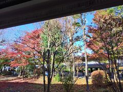 素敵な紅葉に囲まれた東武日光駅。
この紅葉を眺めながらHAPPINさまとダリルさまは昨日、金谷ホテルでカレーを食べたのか。うらやましいなあ。

あ、向こうのホームにいる白いボディは！
スペーシアXではないか！　さっそく見に行きませう。