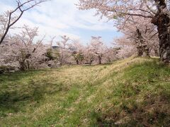 薬師山児童公園