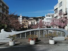 糸川遊歩道を花見を楽しみながら散策中です