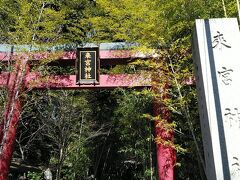 來宮神社です竹に鳥居が美しいですね