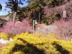 次の目的地の熱海梅園に到着です
第80回熱海梅園梅まつり1月6日～3月3日まで開催中です