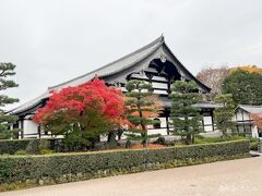京都に着いたのは朝
まずは紅葉の名所東福寺へ。
写真は明るく見えますが、雨が降っています。