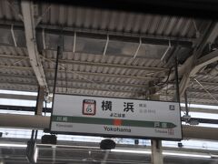 　横浜駅停車
　1号車はほぼ満席でした。
　外国からのお客さんも多いようでした。
　皆さん、1か月前の10時打ちしているのかなあ？？