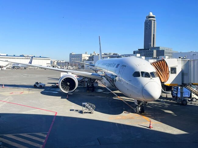 これから私をダッカに連れて行ってくれる<br />ビーマン・バングラデシュ航空が駐機しています。<br />初めて乗るビーマン、ワクワクするな～。