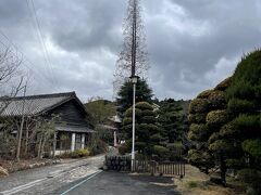 西の原にはこの地にあった福幸製陶所の跡地をそのままショッピングやカフェなどが楽しめるエリアにしている。焼き物の町ならでは