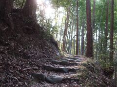 一応この辺りは鹿山公園という場所になっているようです。思っていたよりきつい山道です。