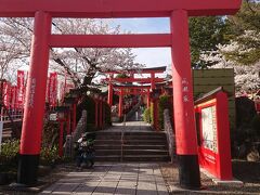 こちらの神社は愛知県人気のパワースポットなんだそうです。良縁の神様とのこと。たくさんのカップルが並んでお参りしてました。すでに良縁がある人は銭洗いも出来ますよ。