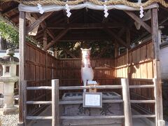 帰りは三光稲荷神社と同じく犬山城の南の登城入り口近くにある針綱神社にお詣りしました。