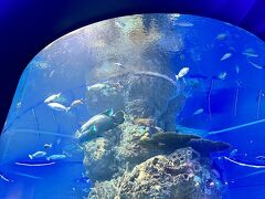 水族館へ