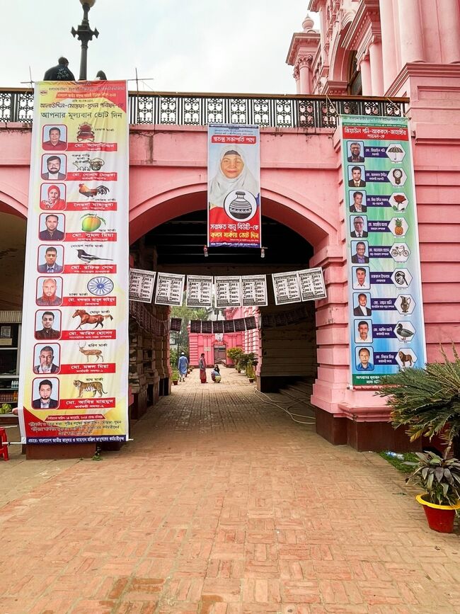 選挙の名残。候補者の名前や顔を覚えるより、<br />鶏やマンゴーなどのモチーフを覚える方が覚えやすいもんね。