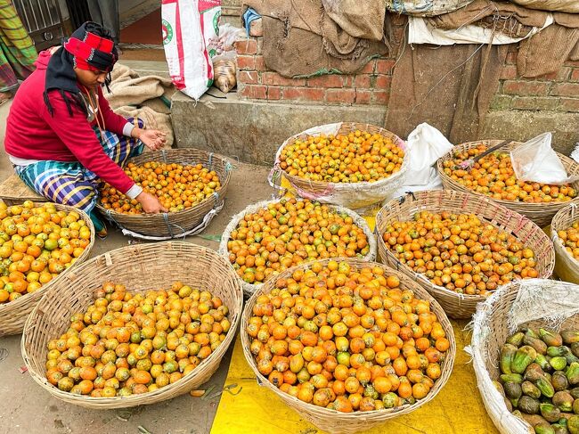 ショドル・ガットの前の道は市場の様相。<br />ビンロウの実だそうです。噛み煙草に使われる実です。<br />ダッカでは噛み煙草一つ5タカ(7円ほど)でした。
