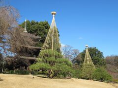 江戸川公園近くの高台に建つ、結婚式場で知られる椿山荘庭園へ。
南北朝時代から椿が自生する景勝地として知られていて、現在も庭園内には日本各地から贈られた椿が植えられています。
