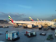 予定より30分以上遅れて7時30分、朝日が眩しいドバイ国際空港へ到着
時差は5時間
Emirates だらけの駐機場に早速ドバイを感じました
