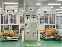 この写真に写ってるだけで1億円あるらしいです!!　この後、フォークリフトで台座ごと運ばれていきました。