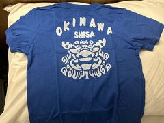 孫にシーサーのTシャツをリクエストされたので、買いました。
これは背中側。