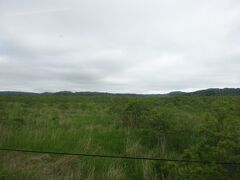 釧路方面に進みます。車窓には湿原が広がります。